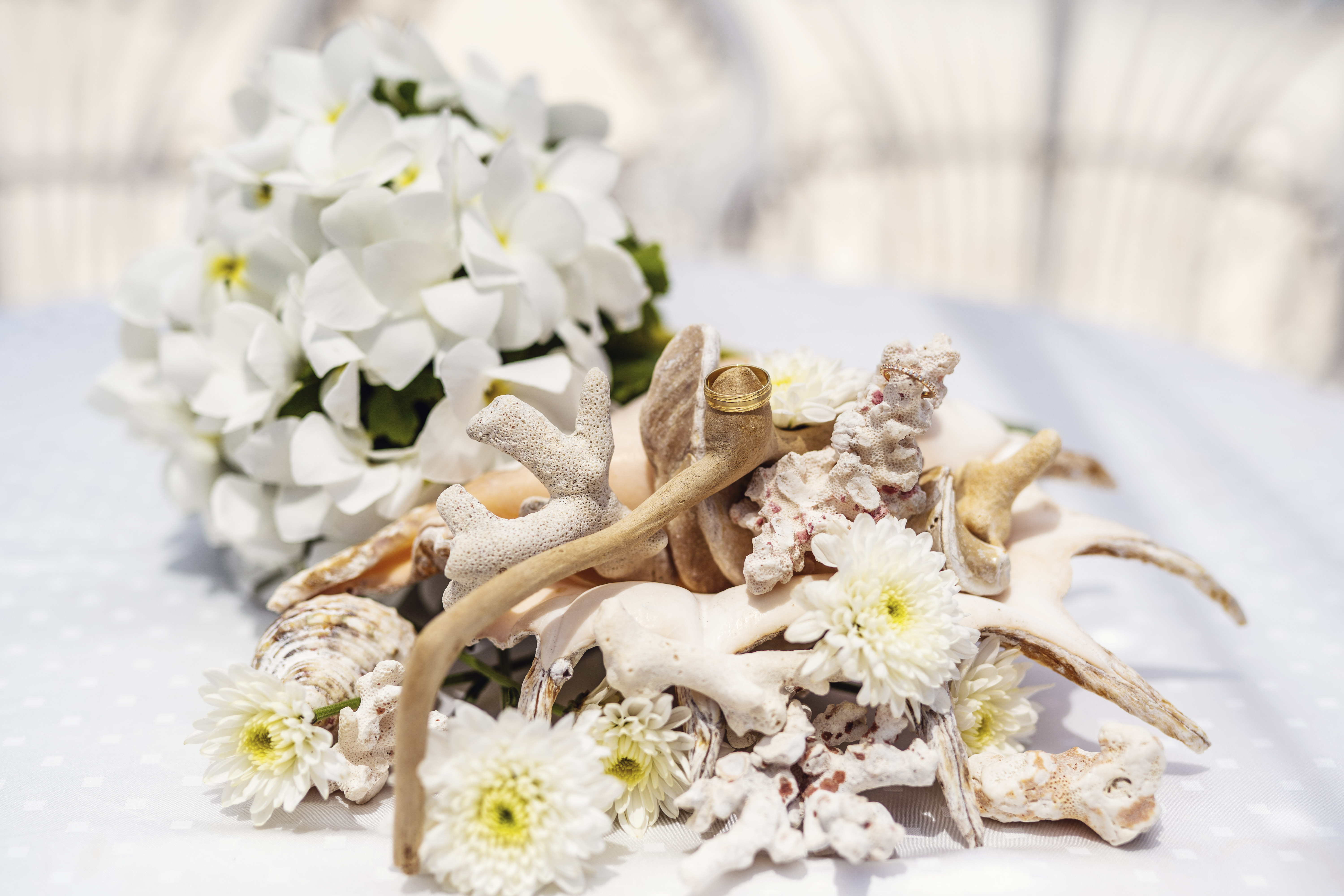 Hochzeitsfotograf Bielefeld – Brautstrauß aus weißen Frangipani-Blüten auf Korallen und Muscheln mit Eheringe
